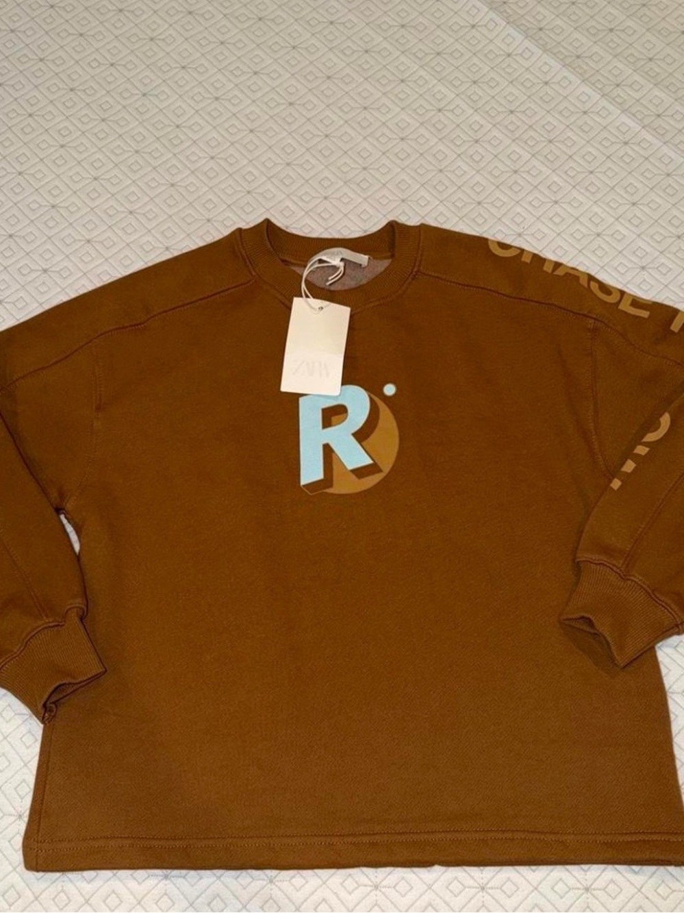 Zara Brown Sweatshirt with Light Blue 'R' Logo